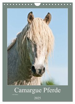 Camargue Pferde - weiße Mähnen (Wandkalender 2025 DIN A4 hoch), CALVENDO Monatskalender - Calvendo;Bölts, Meike
