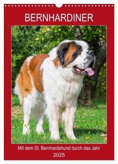 Bernhardiner - Mit dem St. Bernhardshund durch das Jahr (Wandkalender 2025 DIN A3 hoch), CALVENDO Monatskalender