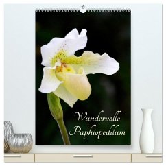 Wundervolle Paphiopedilum (hochwertiger Premium Wandkalender 2025 DIN A2 hoch), Kunstdruck in Hochglanz