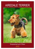 Airedale Terrier - Temperament auf 4 Pfoten (Wandkalender 2025 DIN A2 hoch), CALVENDO Monatskalender