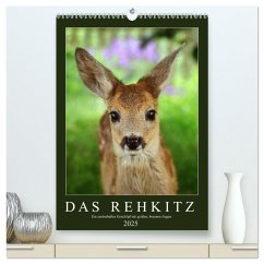 Das Rehkitz, ein zauberhaftes Geschöpf mit großen, braunen Augen (hochwertiger Premium Wandkalender 2025 DIN A2 hoch), Kunstdruck in Hochglanz