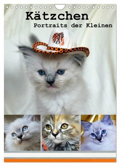 Kätzchen - Portraits der Kleinen (Wandkalender 2025 DIN A4 hoch), CALVENDO Monatskalender