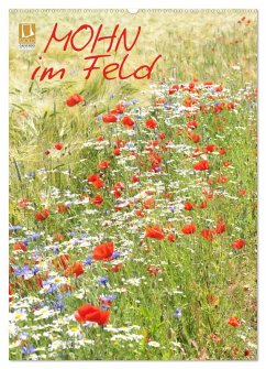 Mohn im Feld (Wandkalender 2025 DIN A2 hoch), CALVENDO Monatskalender