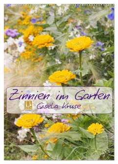 Zinnien im Garten (Wandkalender 2025 DIN A2 hoch), CALVENDO Monatskalender - Calvendo;Kruse, Gisela