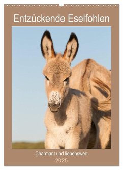Entzückende Esel - Charmant und liebenswert (Wandkalender 2025 DIN A2 hoch), CALVENDO Monatskalender