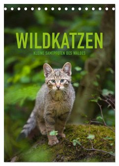 Wildkatzen - Kleine Samtpfoten des Waldes (Tischkalender 2025 DIN A5 hoch), CALVENDO Monatskalender - Calvendo;Krutz, Christina
