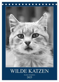 Wilde Katzen - Korsikas Samtpfoten (Tischkalender 2025 DIN A5 hoch), CALVENDO Monatskalender