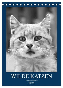 Wilde Katzen - Korsikas Samtpfoten (Tischkalender 2025 DIN A5 hoch), CALVENDO Monatskalender - Calvendo;Schimmack, Claudia