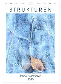 Strukturen - Steine, Eis, Pflanzen (Wandkalender 2025 DIN A4 hoch), CALVENDO Monatskalender