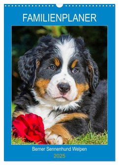 Familienplaner Berner Sennenhund Welpen (Wandkalender 2025 DIN A3 hoch), CALVENDO Monatskalender