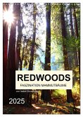 Redwoods - Faszination Mammutbäume (Wandkalender 2025 DIN A3 hoch), CALVENDO Monatskalender