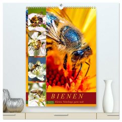 BIENEN - Kleine Nützlinge ganz nah (hochwertiger Premium Wandkalender 2025 DIN A2 hoch), Kunstdruck in Hochglanz - Calvendo;Dreegmeyer, Andrea