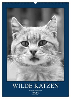 Wilde Katzen - Korsikas Samtpfoten (Wandkalender 2025 DIN A2 hoch), CALVENDO Monatskalender