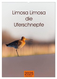 Limosa Limosa die Uferschnepfe (Wandkalender 2025 DIN A2 hoch), CALVENDO Monatskalender - Calvendo;Riedel, Tanja