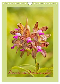 Bezaubernde Orchideenvielfalt (Wandkalender 2025 DIN A4 hoch), CALVENDO Monatskalender