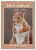 Eichhörnchen Luna (Wandkalender 2025 DIN A2 hoch), CALVENDO Monatskalender