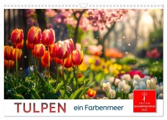 Tulpen - ein Farbenmeer (Wandkalender 2025 DIN A3 quer), CALVENDO Monatskalender