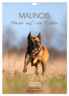 Malinois Power auf vier Pfoten (Wandkalender 2025 DIN A4 hoch), CALVENDO Monatskalender - Calvendo;Riedel, Tanja