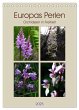Europas Perlen (Tischkalender 2025 DIN... - Bild 1