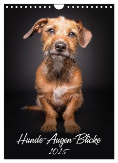 Hunde-Augen-Blicke (Wandkalender 2025 DIN A4 hoch), CALVENDO Monatskalender - Calvendo;Gareis, Silke