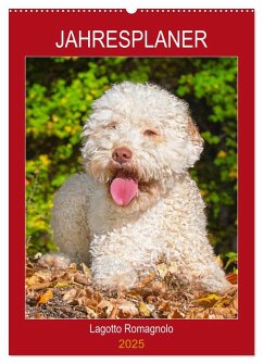 Jahresplaner Lagotto Romagnolo (Wandkalender 2025 DIN A2 hoch), CALVENDO Monatskalender - Calvendo;Starick, Sigrid