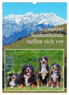 Schweizer Sennenhunde stellen sich vor (Wandkalender 2025 DIN A3 hoch), CALVENDO Monatskalender