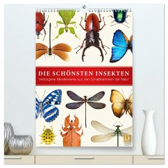 Die schönsten Insekten (hochwertiger Premium Wandkalender 2025 DIN A2 hoch), Kunstdruck in Hochglanz - Calvendo;Art Print, Wildlife