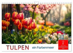Tulpen - ein Farbenmeer (Wandkalender 2025 DIN A4 quer), CALVENDO Monatskalender