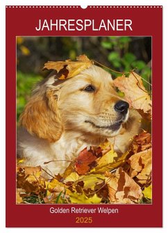 Jahresplaner Golden Retriever Welpen (Wandkalender 2025 DIN A2 hoch), CALVENDO Monatskalender