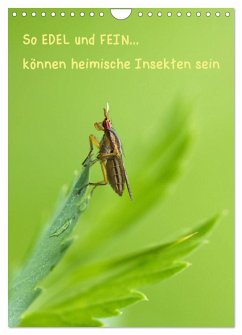 So EDEL und FEIN... können heimische Insekten sein (Wandkalender 2025 DIN A4 hoch), CALVENDO Monatskalender - Calvendo;Berger (Kabefa), Karin