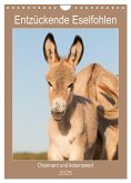 Entzückende Esel - Charmant und liebenswert (Wandkalender 2025 DIN A4 hoch), CALVENDO Monatskalender