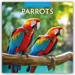 Parrots - Papageien 2025 - 16-Monatskalender - Red Robin Publishing Ltd