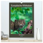 Europäische Wildkatzen - Jahresplaner (hochwertiger Premium Wandkalender 2025 DIN A2 hoch), Kunstdruck in Hochglanz