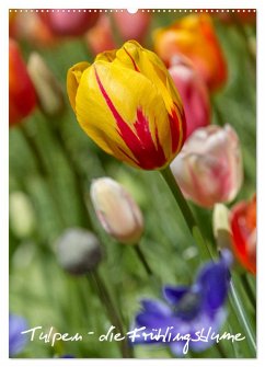 Tulpen - die Frühlingsblume (Wandkalender 2025 DIN A2 hoch), CALVENDO Monatskalender