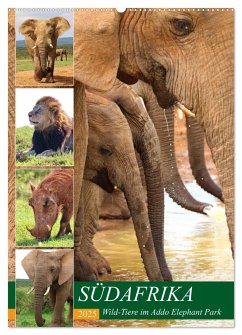 SÜDAFRIKA Wild-Tiere im Addo Elephant Park (Wandkalender 2025 DIN A2 hoch), CALVENDO Monatskalender - Calvendo;Fraatz, Barbara