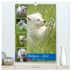Welpen Zeit - Berger Blanc Suisse (hochwertiger Premium Wandkalender 2025 DIN A2 hoch), Kunstdruck in Hochglanz