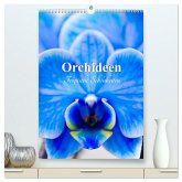 Orchideen - Tropische Schönheiten (hochwertiger Premium Wandkalender 2025 DIN A2 hoch), Kunstdruck in Hochglanz