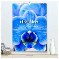 Orchideen - Tropische Schönheiten (hochwertiger Premium Wandkalender 2025 DIN A2 hoch), Kunstdruck in Hochglanz - Calvendo;Schwarze, Nina