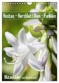 Hostas Herzblattlilien Funkien (Wandkalender 2025 DIN A4 hoch), CALVENDO Monatskalender