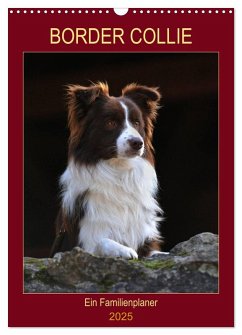 Border Collie - Ein Familienplaner (Wandkalender 2025 DIN A3 hoch), CALVENDO Monatskalender - Calvendo;Starick, Sigrid