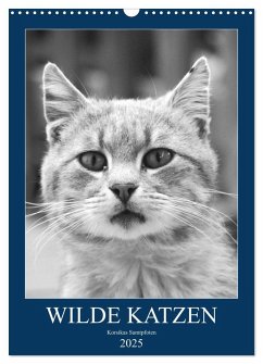 Wilde Katzen - Korsikas Samtpfoten (Wandkalender 2025 DIN A3 hoch), CALVENDO Monatskalender - Calvendo;Schimmack, Claudia