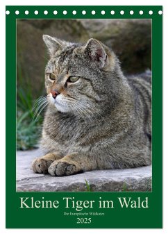 Kleine Tiger im Wald (Tischkalender 2025 DIN A5 hoch), CALVENDO Monatskalender - Calvendo;Brack, Roland