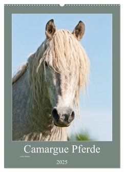 Camargue Pferde - weiße Mähnen (Wandkalender 2025 DIN A2 hoch), CALVENDO Monatskalender