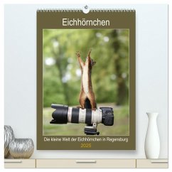 Die kleine Welt der Eichhörnchen in Regensburg (hochwertiger Premium Wandkalender 2025 DIN A2 hoch), Kunstdruck in Hochglanz