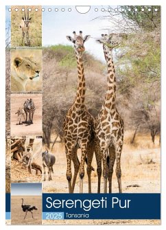 Serengeti Pur - Tansania (Wandkalender 2025 DIN A4 hoch), CALVENDO Monatskalender