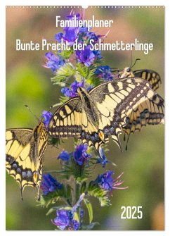 Familienplaner Bunte Pracht der Schmetterlinge (Wandkalender 2025 DIN A2 hoch), CALVENDO Monatskalender