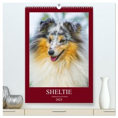 Sheltie - Wirbelwind auf 4 Pfoten (hochwertiger Premium Wandkalender 2025 DIN A2 hoch), Kunstdruck in Hochglanz