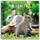 Rabbits - Hasen - Kaninchen 2025 - 16-Monatskalender