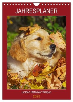 Jahresplaner Golden Retriever Welpen (Wandkalender 2025 DIN A4 hoch), CALVENDO Monatskalender