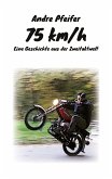 75 kmh (eBook, ePUB)